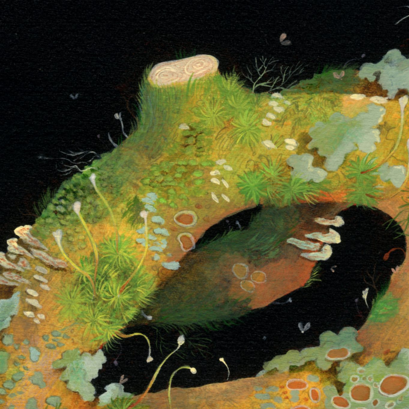 dettaglio opera Botanica immaginaria